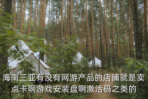 海南三亚有没有网游产品的店铺就是卖点卡啊游戏安装盘啊激活码之类的