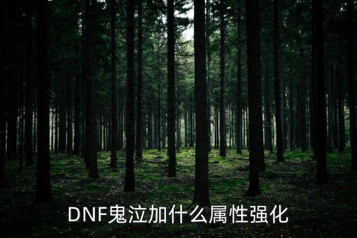 dnf鬼泣伤害吃什么属性，DNF鬼泣加什么属性强化