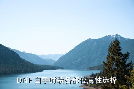 dnf白手带什么属性，DNF中白手的时装应该选什么属性