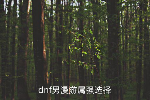 dnf男漫游属强选择