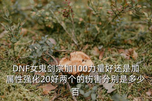 DNF女鬼剑宗加100力量好还是加属性强化20好两个的伤害分别是多少百