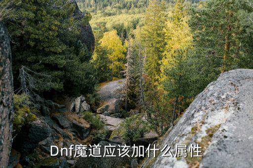 dnf魔道要什么属性，Dnf魔道应该加什么属性