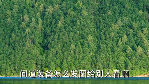 问道装备怎么发图给别人看啊