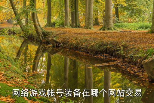从哪里可以买游戏装备，网络游戏帐号装备在哪个网站交易
