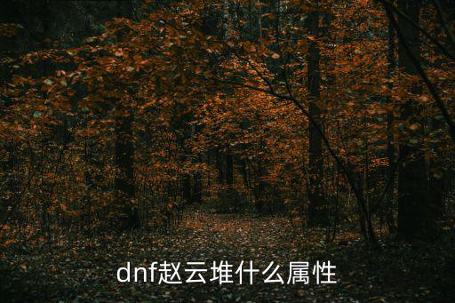 dnf赵云堆什么属性
