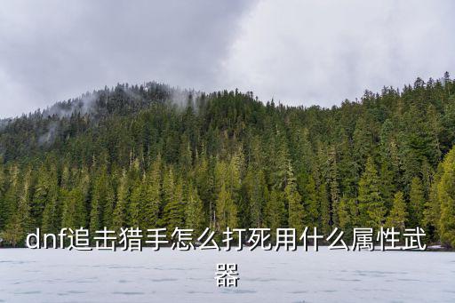 dnf追击猎手怎么打死用什么属性武器