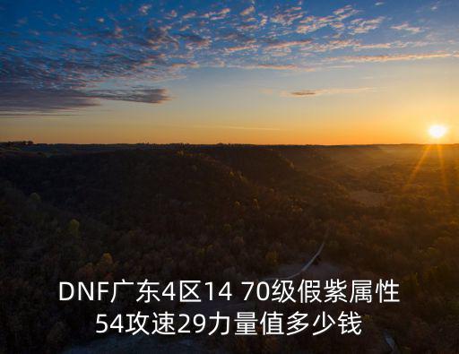dnf假紫什么属性值钱，DNF广东4区14 70级假紫属性54攻速29力量值多少钱