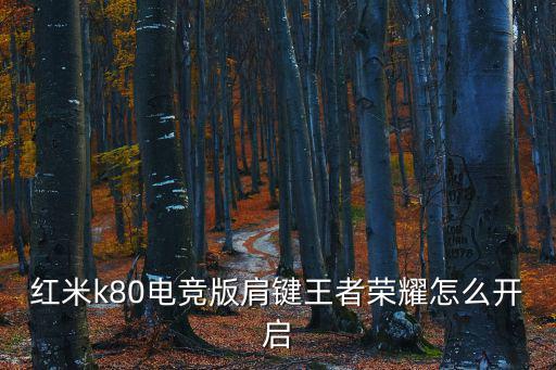 红米k80电竞版肩键王者荣耀怎么开启