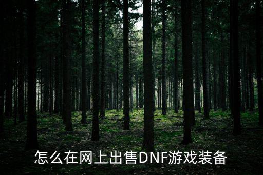 怎么在网上出售DNF游戏装备