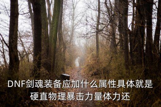 DNF剑魂装备应加什么属性具体就是硬直物理暴击力量体力还