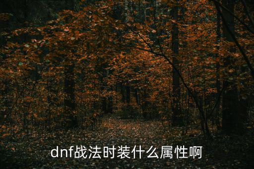 dnf战法时装什么属性啊