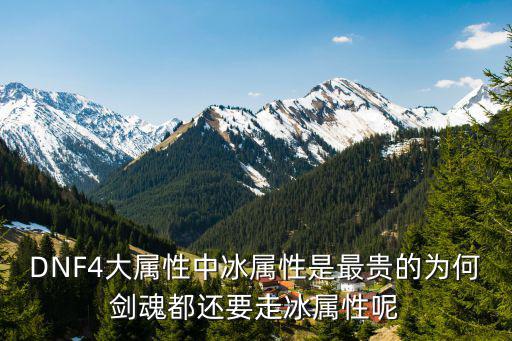 DNF4大属性中冰属性是最贵的为何剑魂都还要走冰属性呢