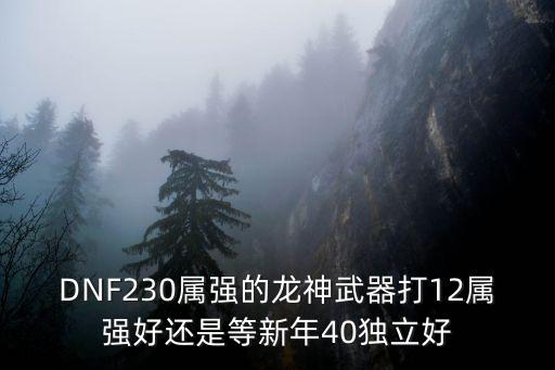 DNF230属强的龙神武器打12属强好还是等新年40独立好