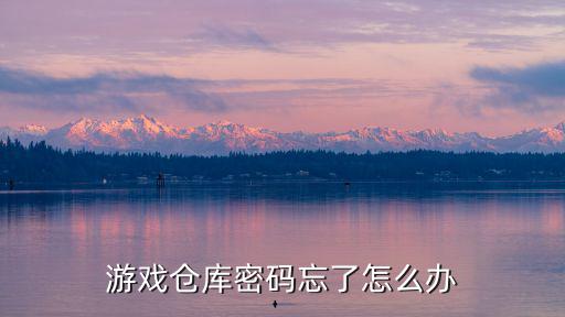 如何解锁游戏装备库密码，游戏仓库密码忘了怎么办