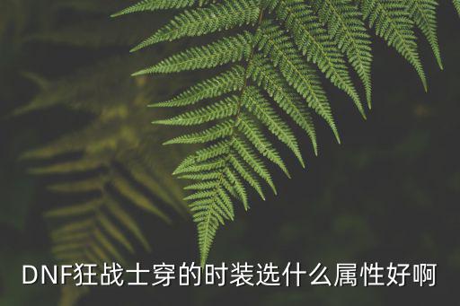 DNF狂战士穿的时装选什么属性好啊