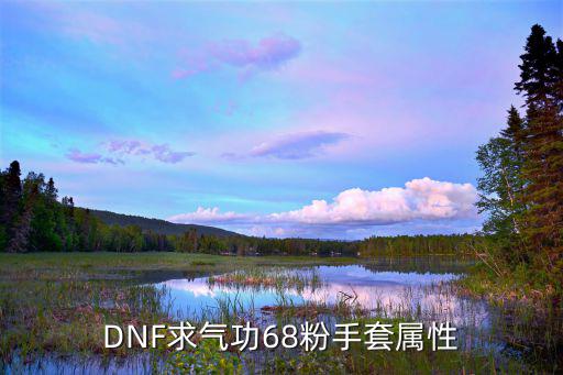 dnf粉手套带什么属性，DNF求气功68粉手套属性