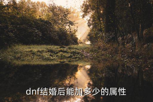 dnf婚纱套加什么属性，地下城与勇士结婚角色都有什么属性加成详细点