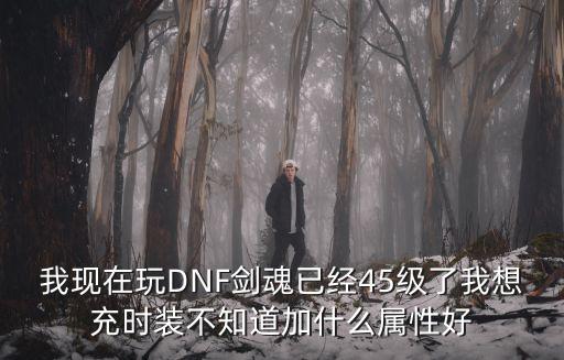 我现在玩DNF剑魂已经45级了我想充时装不知道加什么属性好