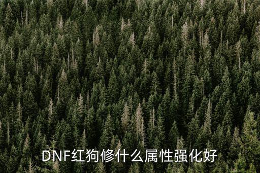 dnf红狗属性加什么，dnf红眼堆什么属性好