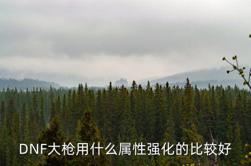 DNF大枪用什么属性强化的比较好