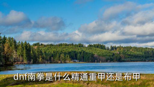dnf南拳是什么精通重甲还是布甲