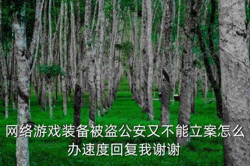 网络游戏装备盗窃如何审判，如果在网上盗取别人的游戏装备该如何处理
