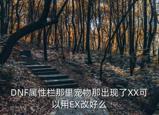 DNF属性栏那里宠物那出现了XX可以用EX改好么