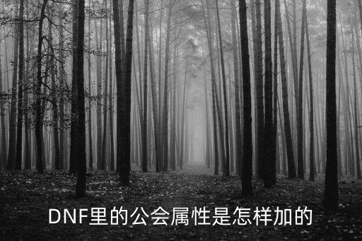 DNF里的公会属性是怎样加的