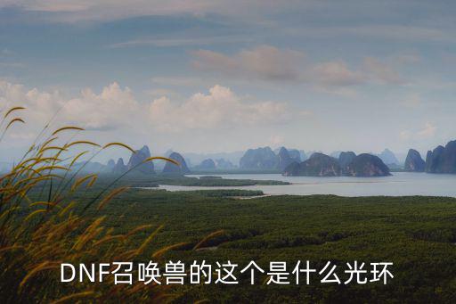 DNF召唤兽的这个是什么光环