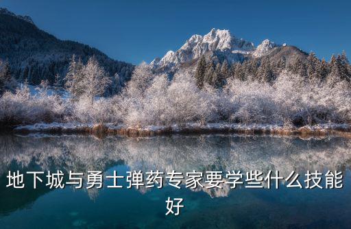 地下城与勇士弹药专家要学些什么技能好