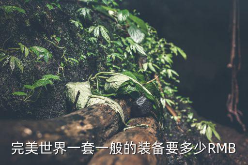 完美世界一套一般的装备要多少RMB