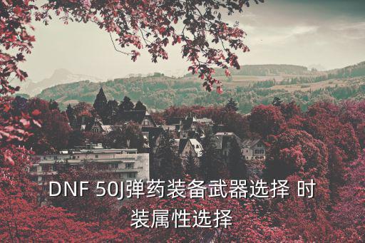 DNF 50J弹药装备武器选择 时装属性选择