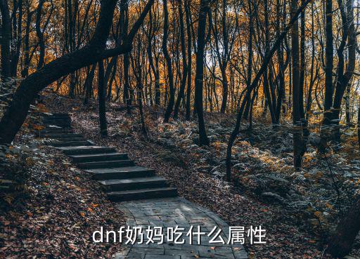 dnf奶妈吃什么属性