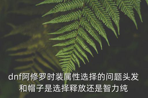 dnf阿修罗时装属性选择的问题头发和帽子是选择释放还是智力纯