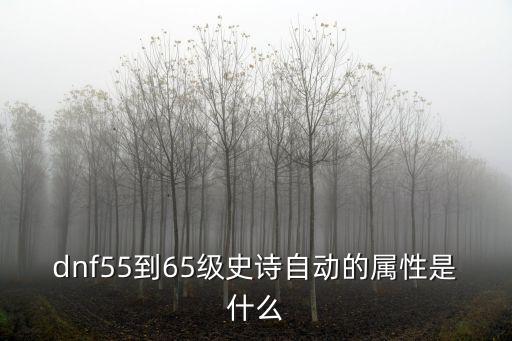 dnf自制史诗附什么属性，dnf65史诗什么属性