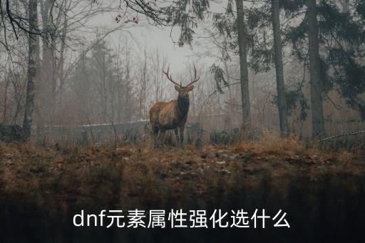 dnf元素属性强化选什么