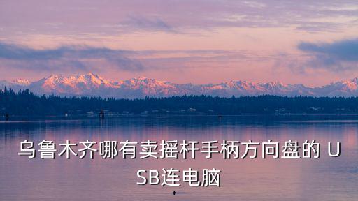 乌鲁木齐哪有卖摇杆手柄方向盘的 USB连电脑