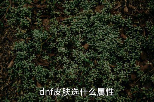 dnf天帝皮肤选什么属性，dnf皮肤选什么属性
