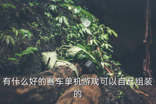 有什么好的赛车单机游戏可以自己组装的