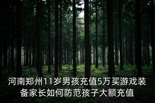 熊孩子游戏装备多少钱一套，熊孩子买装备花掉30万玩的什么游戏