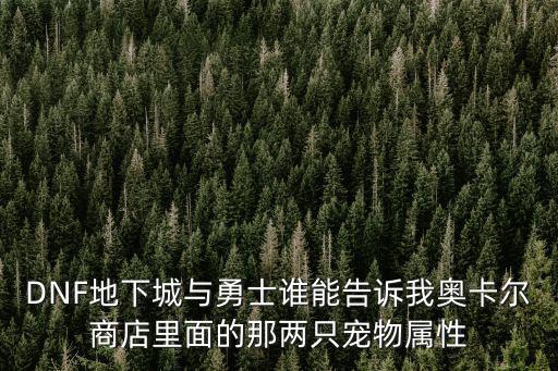 DNF地下城与勇士谁能告诉我奥卡尔商店里面的那两只宠物属性