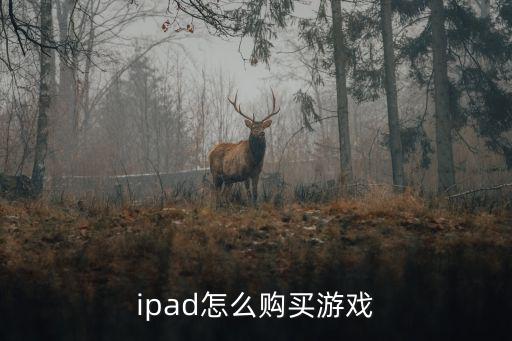 ipad怎么购买游戏