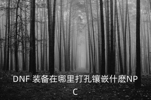 DNF 装备在哪里打孔镶嵌什麽NPC