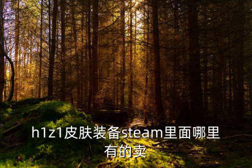 h1z1游戏装备在哪里买，h1z1皮肤装备steam里面哪里有的卖