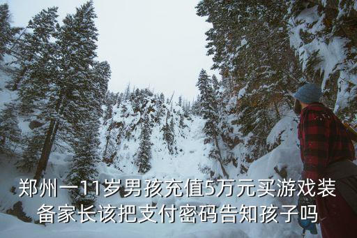 熊孩子游戏装备价格多少，熊孩子买装备花掉30万玩的什么游戏