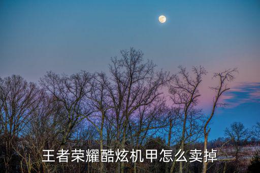 王者荣耀酷炫机甲怎么卖掉