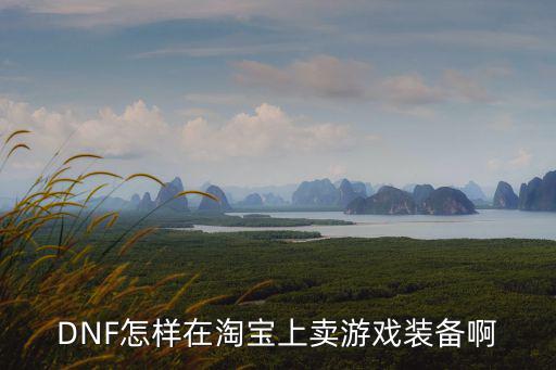 DNF怎样在淘宝上卖游戏装备啊
