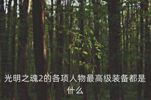 灵魂游戏装备最高多少，热血江湖装备进化和附魂最高到多少
