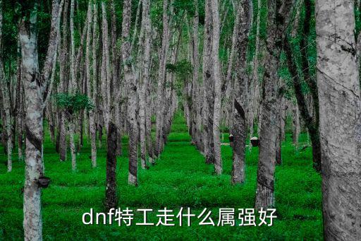 dnf特工什么属性最好，dnf特工走什么属强好