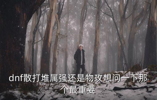 dnf散打堆属强还是物攻想问一下那个最重要
